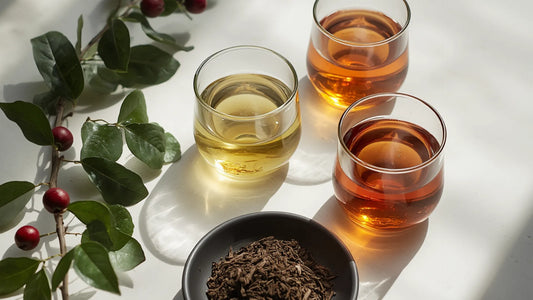 Three glasses displaying different shades of brewed tea next to loose tea leaves and a yaupon holly branch with berries.