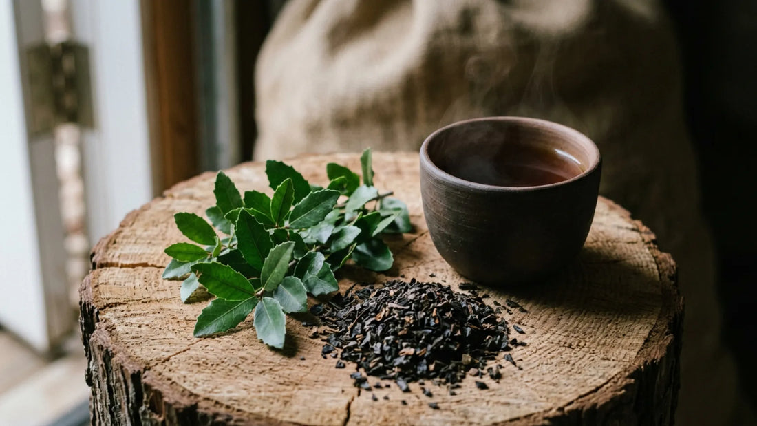 A steaming clay cup of brewed tea on a tree stump next to a pile of dark roasted loose leaves and fresh green yaupon holly branches.