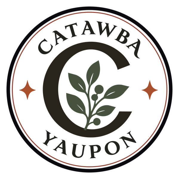 Catawba Yaupon