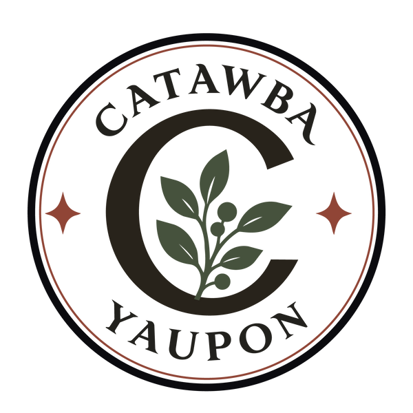 Catawba Yaupon