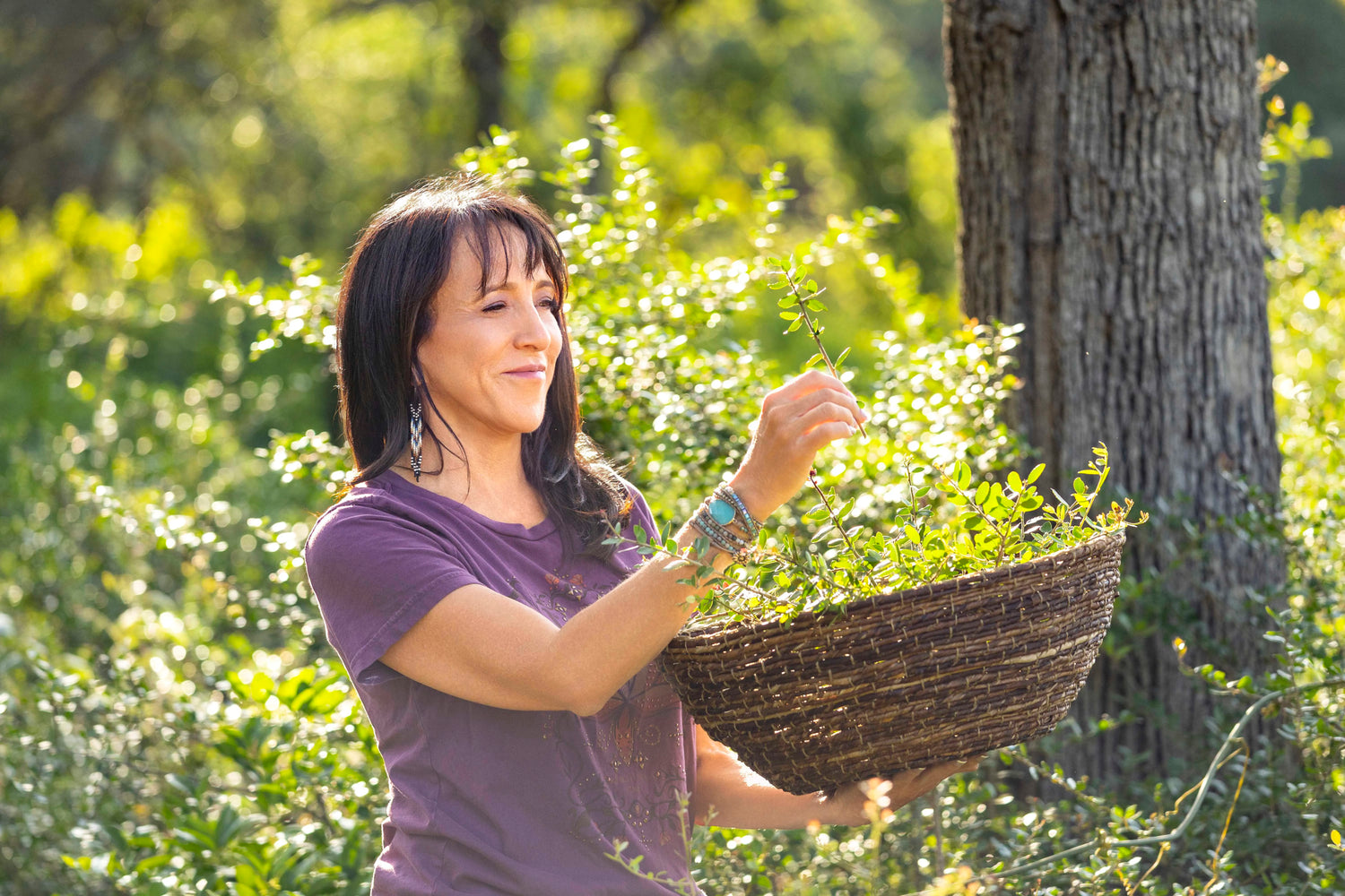 A woman harvesting fresh Yaupon holly sprigs into a traditional woven basket, honoring the sustainable, ancestral traditions of gathering North America's only native caffeinated plant.