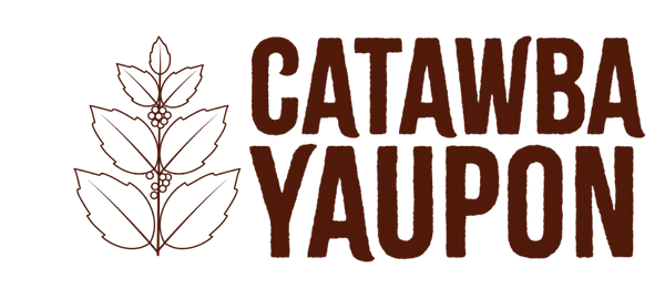 Catawba Yaupon