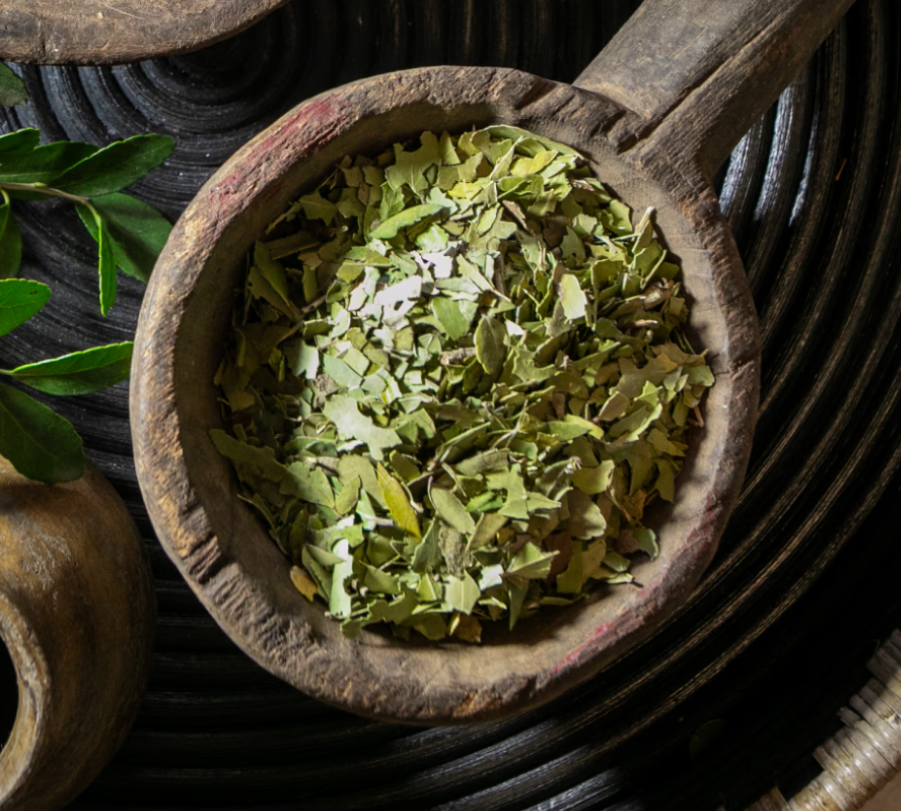 A close-up, top-down shot of bright green Yaupon loose leaf tea inside a rustic wooden scoop, highlighting the natural leaf texture.
