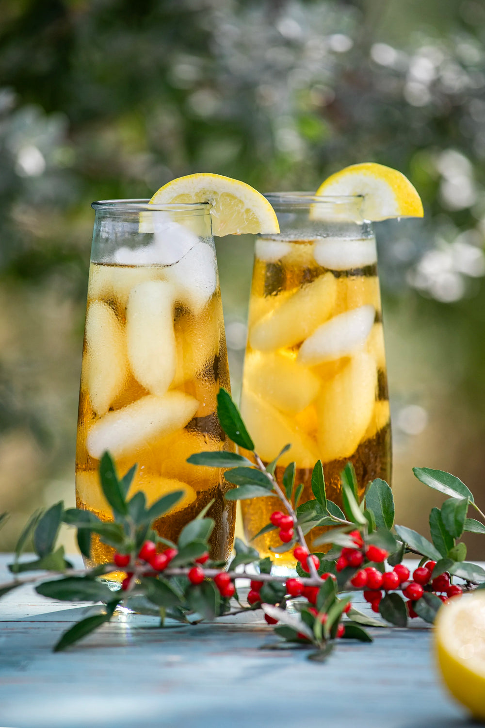 Two tall glasses of iced Yaupon tea, garnished with lemon slices, sitting behind a sprig of fresh Yaupon holly with vibrant red berries, showcasing the versatility of North America's only native caffeinated plant.