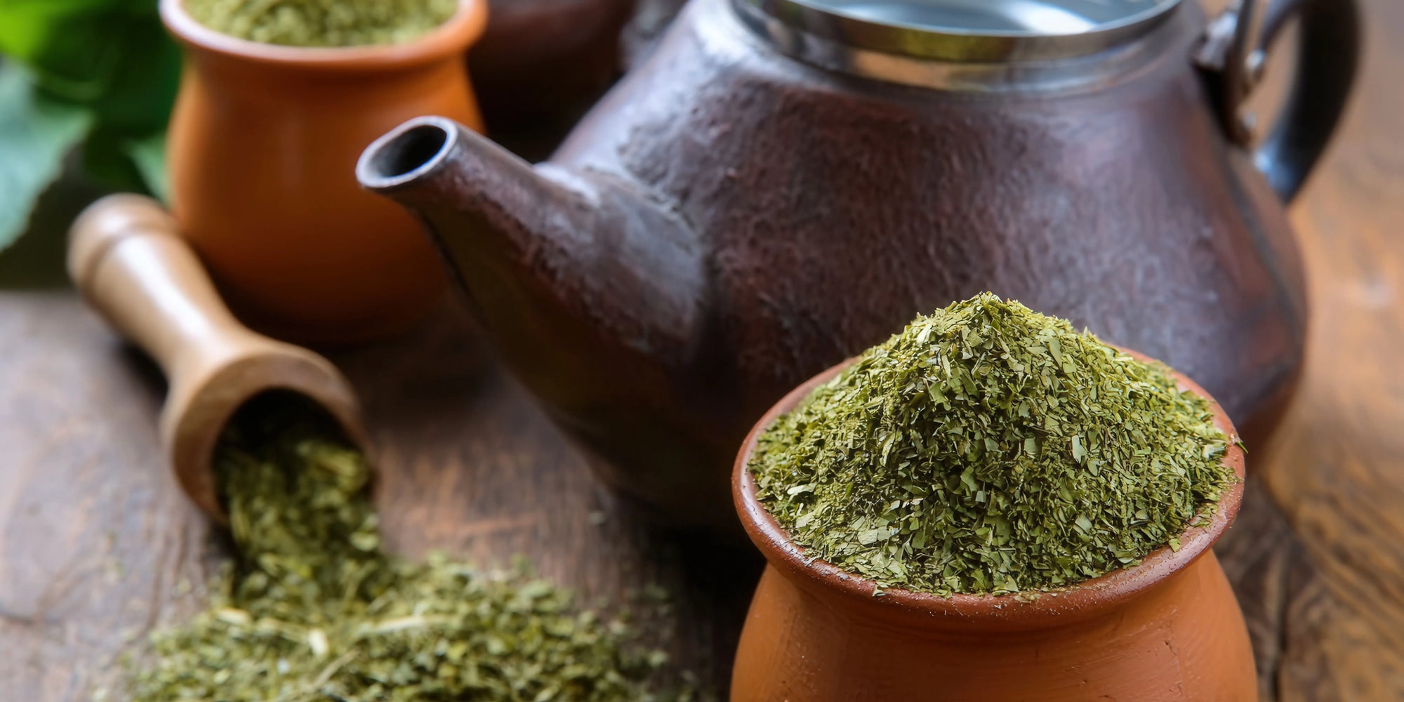 A rustic scene featuring a clay pot filled with dried Yaupon leaves, a wooden scoop, and a dark ceramic teapot, showcasing the traditional, natural method of preparing North America's only native caffeinated tea.